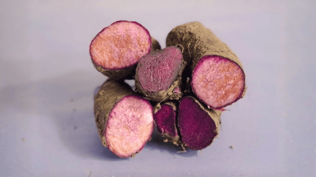 Ube Myth vs Reality. What Real Purple Yam Actually Tastes Like - Kaia